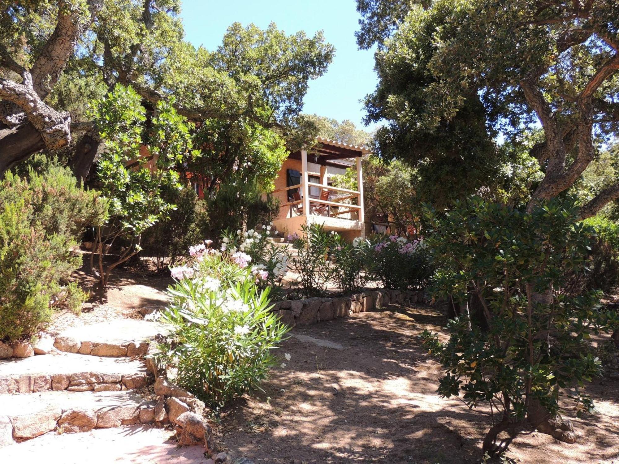 Bungalows Du Maquis Porto-Vecchio  Værelse billede