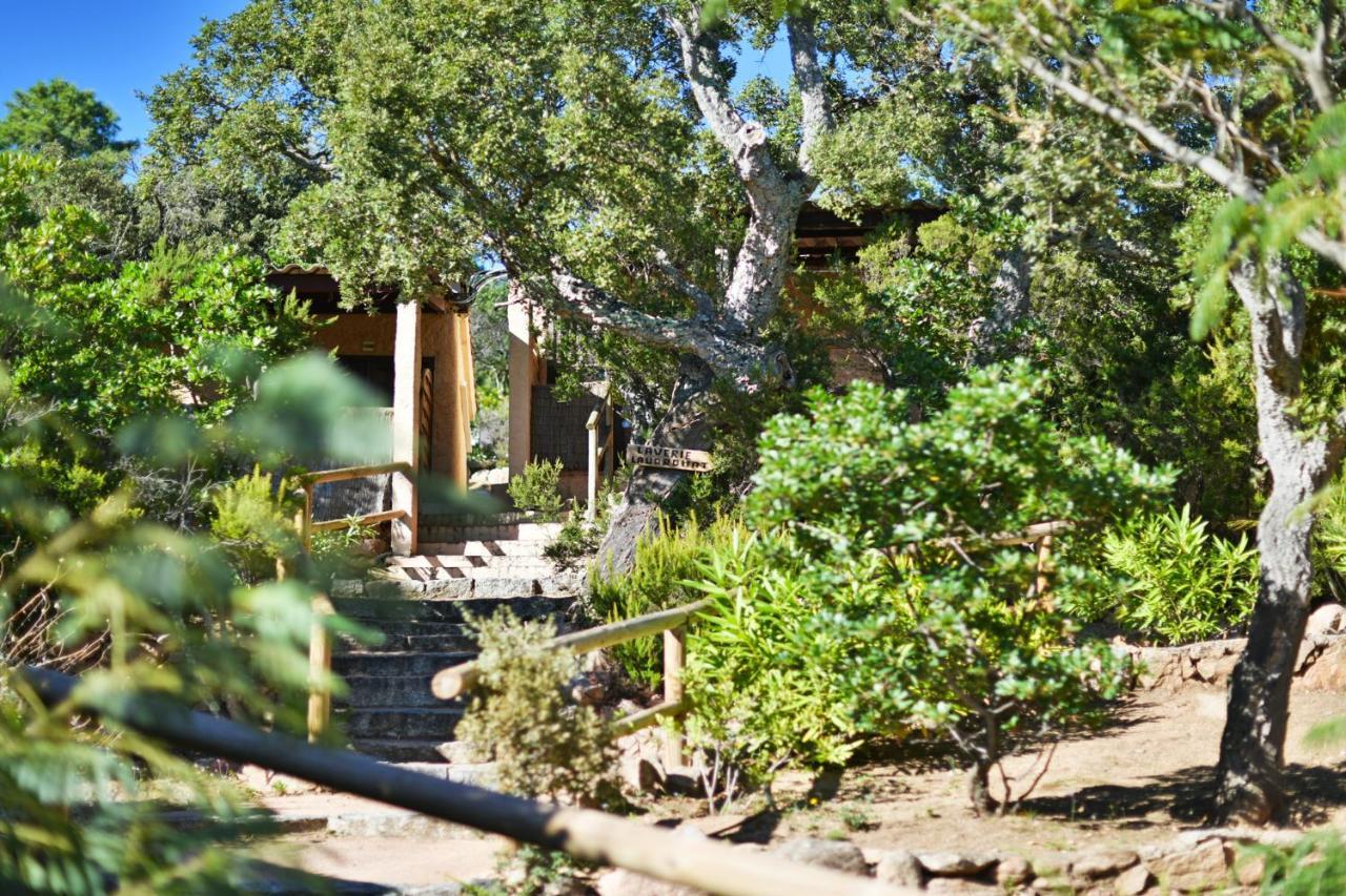 Bungalows Du Maquis Porto-Vecchio  Eksteriør billede